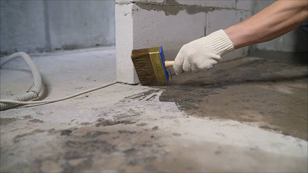 Top rated local Crawl Space Encapsulation specialists in Evensville, TN